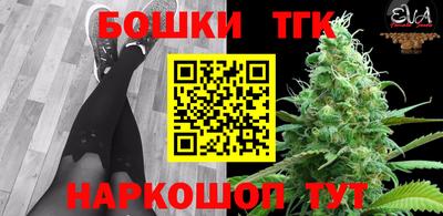 индика Абинск