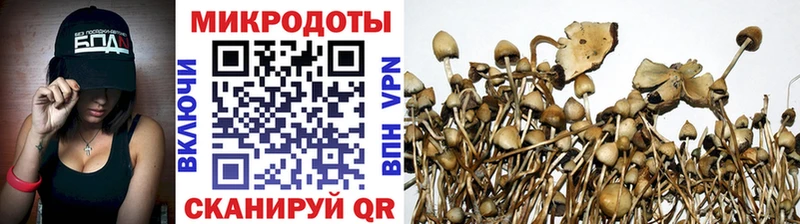 Галлюциногенные грибы мухоморы  гидра ссылки  Сердобск  где купить наркоту 