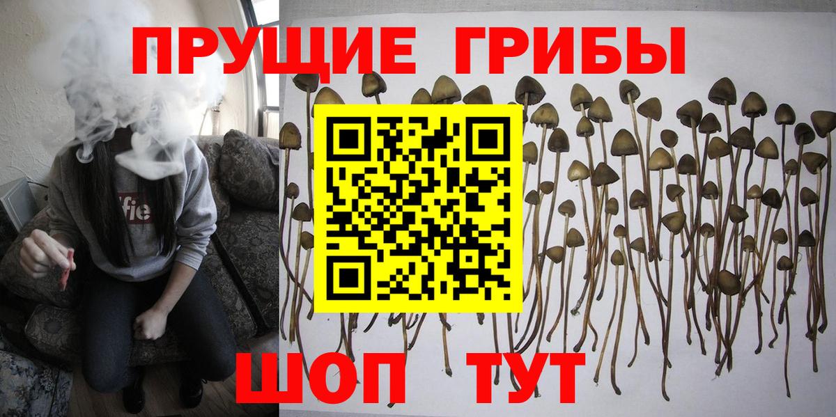 Конопля Сердобск