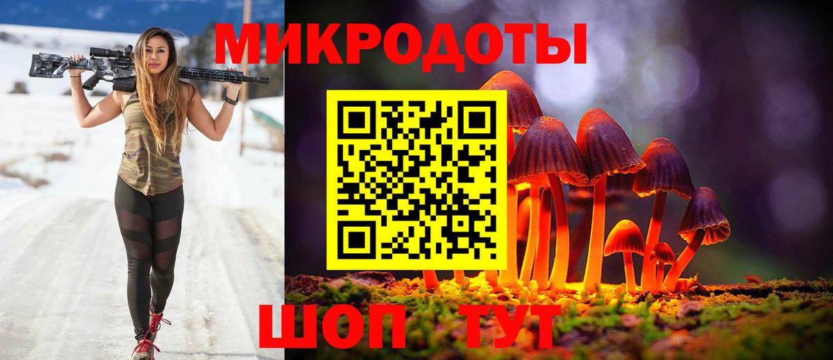 Галлюциногенные грибы Psilocybine cubensis Сердобск